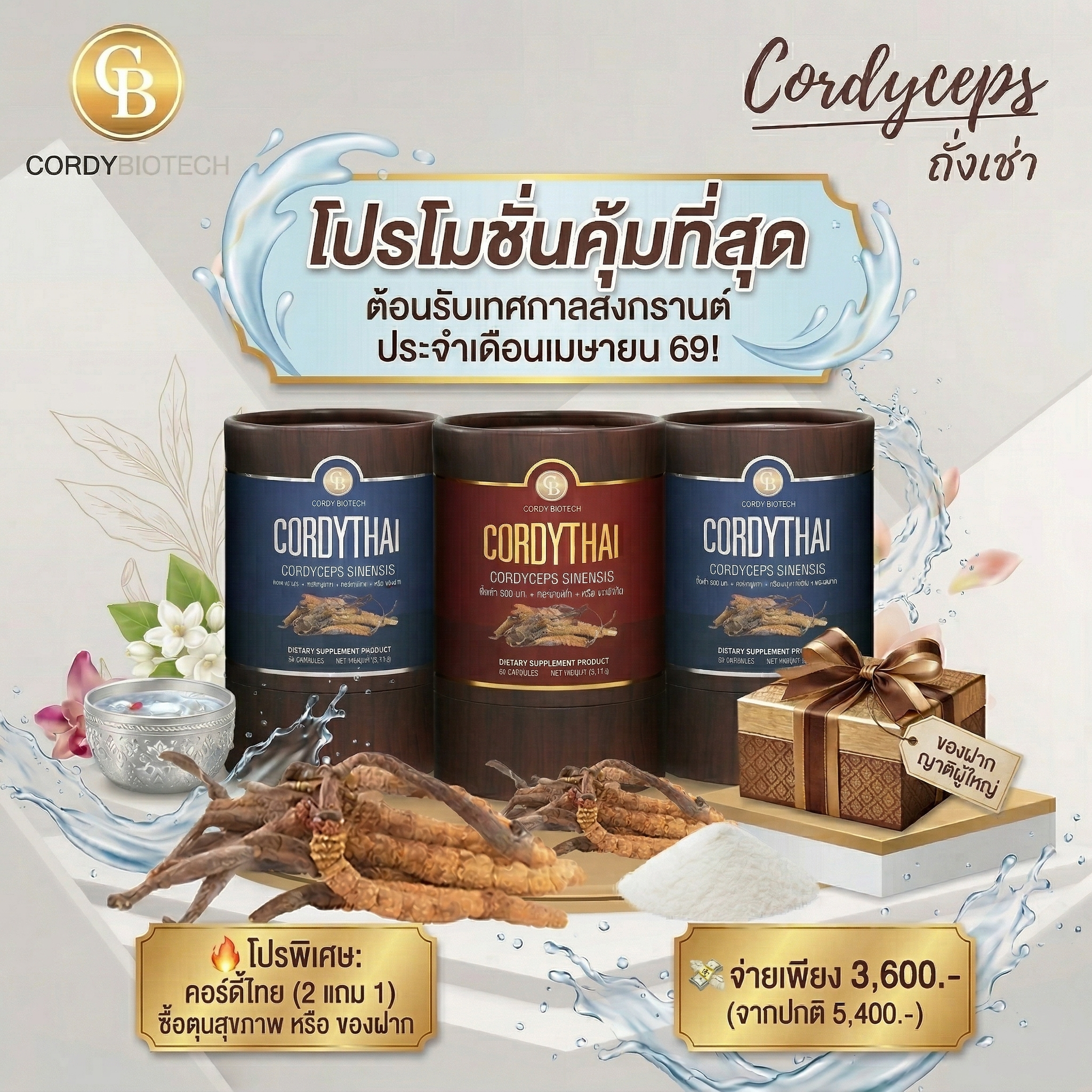 โปรโมชั่น 2 แถม 1 ถั่งเช่า Cordythai